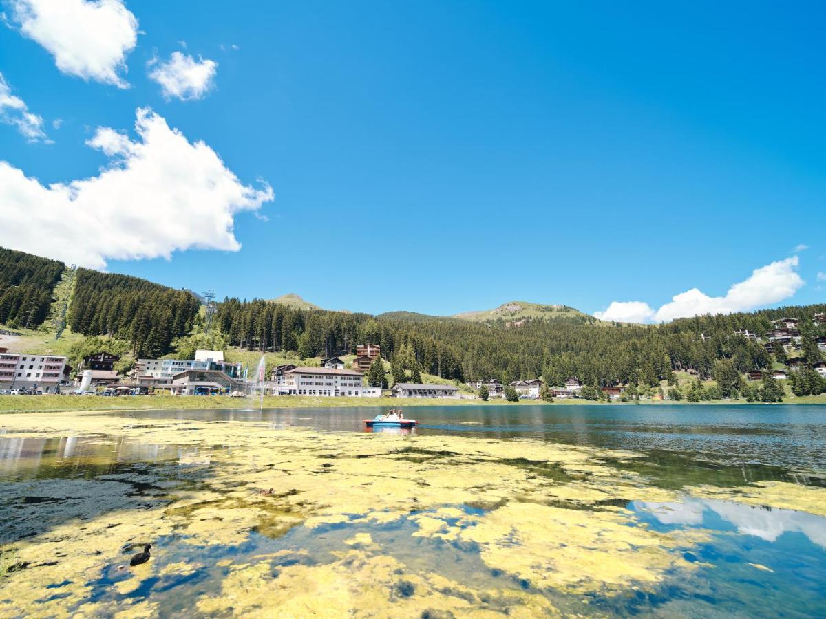 Haus Padrun 10 By Arosa Vacations 아파트 외부 사진